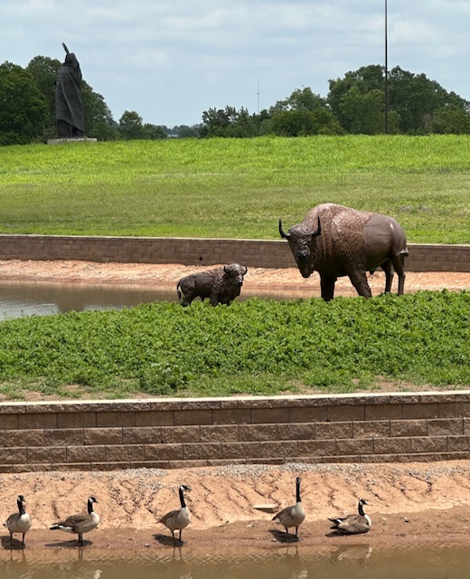 Buffalo statues at Standing Bear Park, Ponca City, Oklahoma.