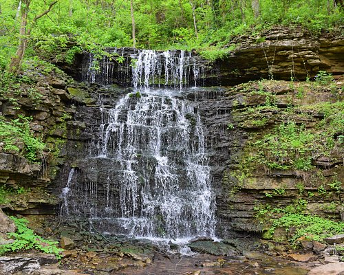 Waterfall in Cove Springs Park.