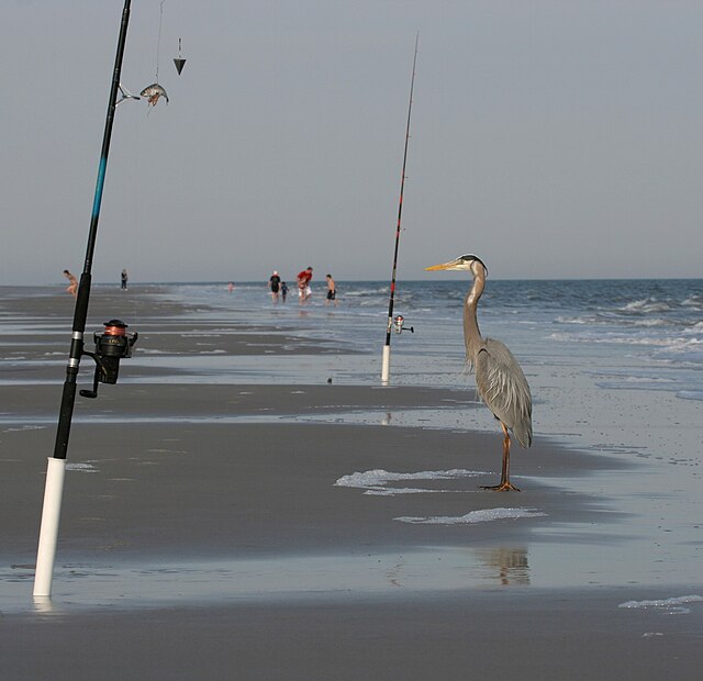 Hilton Head Island fishermen.