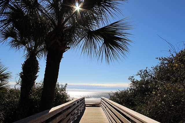 Boardwalk to the beach on Hilton Head Island, South Carolina.
