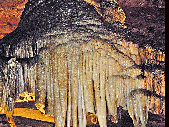 Dripstone (Stalagtite) in the Cherokee Caverns, Knoxville, Tennessee.
