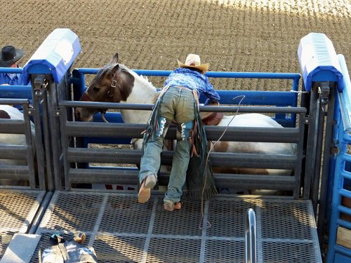 Cody Nite Rodeo in Cody, Wyoming