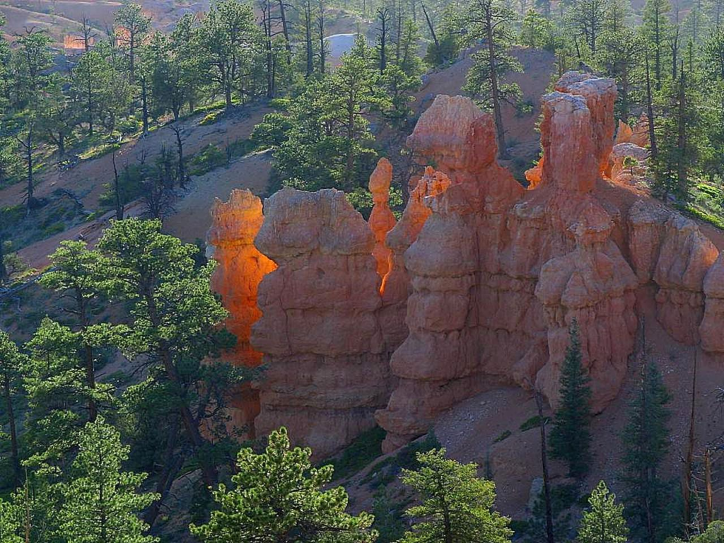 Bryce Canyon glowing